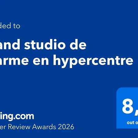 Apartment Grand De Charme En Hypercentre *